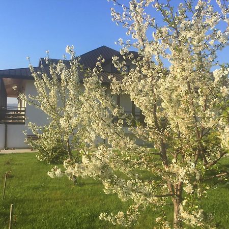 Tango Margo Hotell Valea Lupului  Exteriör bild